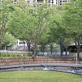 Water Fountain in Urban Area Surrounded by Green Trees and Lawn Near High Rise Buildings