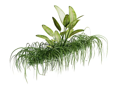 Lush Hanging Basket Plants With Long Grass Like And Broad Green Leaves 3d model