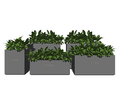 Multiple Grey Square Flower Planters With Lush Green Leafy Plants For Garden Decor 3d model