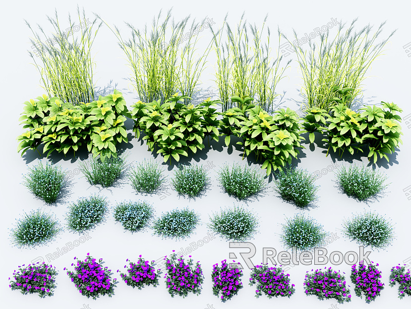 modern grass flowers model