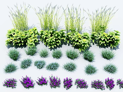 Various Green Plants And Purple Flowers Arranged In Rows For Garden 3d model