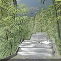 Tranquil Bamboo Grove Scenery with Winding Stone Steps and Lush Green Foliage