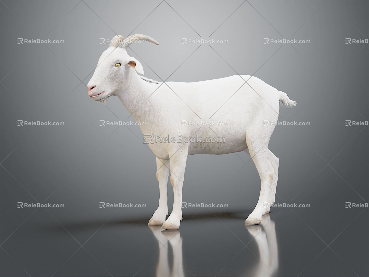 Modern Sheep Goat 3d model