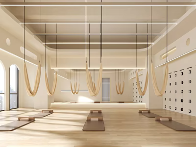 Bright Spacious Yoga Studio With Hammocks Mats And Wooden Floors 3d model
