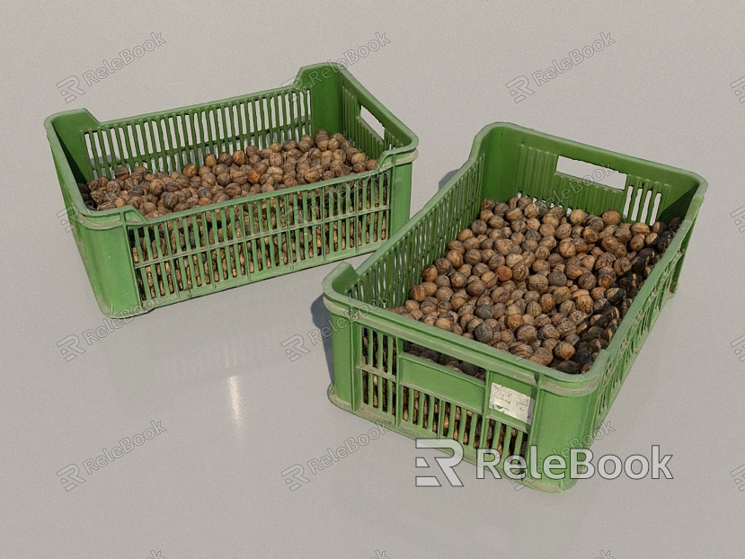 fruit chestnut walnut model