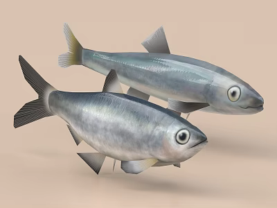 Two Shiny Silver Aquatic Fish With Streamlined Bodies Swimming in Natural Habitat 3d model
