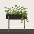 Potted Bonsai Plants in Black Planter on Wooden Stand with Green Ferns and Trailing Vines