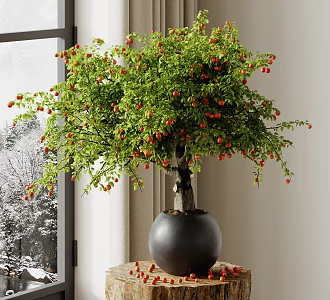 Plants 3d model