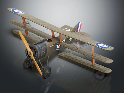 Vintage Biplane Fighter Aircraft With Khaki Body Round Insignias On Wings And Propeller 3d model