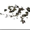 Scattered Dry Leaves In Brown And Green Natural Outdoor Ground Cover