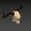 Detailed Mythical Skull With Large Curved Horns On Dark Background