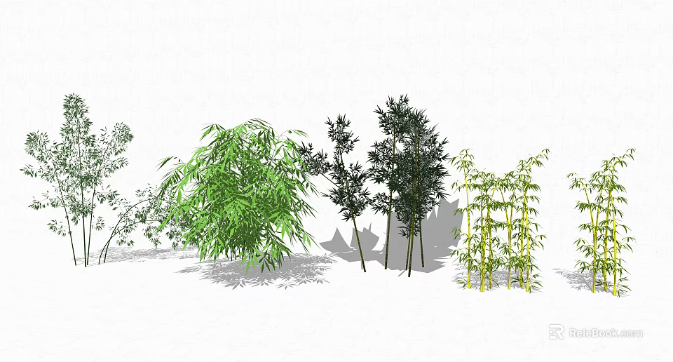 Various Bamboo Varieties With Different Growth Forms 3d model 