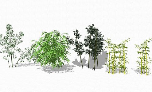 Modern Bamboo Plant 3d model