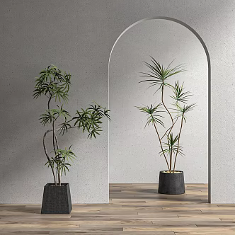 Pot of Silent Green Plant 3d model