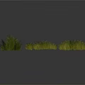 Different Types of Green Grass Plants Growing in Natural Clumps on White Background