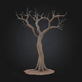Leafless Tree with Twisted Trunk Bare Branches and Exposed Root Base on Dark Background