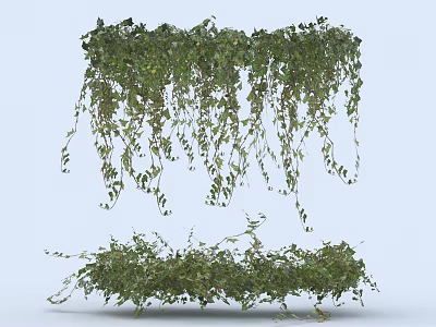 Lush Green Vines With Hanging Trailing Leaves And Dense Foliage 3d model