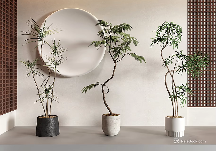 Indoor Bonsai Potted Plants with Curved Branches in White Black Pots and Round Mirror Background 3d model 