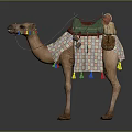 Ornate Decorated Camel With Green Saddle Patterned Blanket And Colorful Tassels