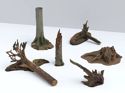 Various Natural Arbor Stumps Trunks And Roots With Detailed Wooden Textures 3d model