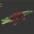 Crocodile Alligator Nile Crocodile carnivore reptile cold-blooded animal reptile reptile 3d model