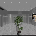 Modern 1993 Clothing Store With Gray Walls Glass Facade Clothing Racks And Potted Plant
