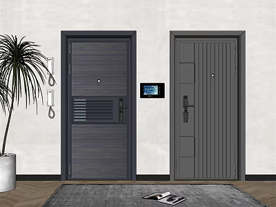 Two Dark Gray Security Doors With Potted Plant And Rug On Wall Background 3d model