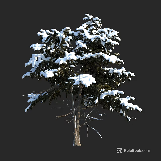 Snow Covered Arbor with Dark Background and Snow Laden Branches in Winter 3d model 