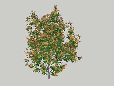 Ornamental Arbor With Green And Red Leaves And Lush Foliage In Garden 3d model