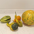 Fresh Colorful Pumpkins and Gourds of Various Shapes on White Kitchen Countertop
