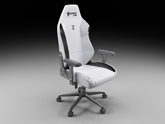 Computer Chair E-Sports Chair Lifting Chair Office Chair 3d model