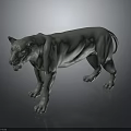 Gray Lion Sculpture Standing with Open Mouth and Detailed Muscles on Dark Glossy Background