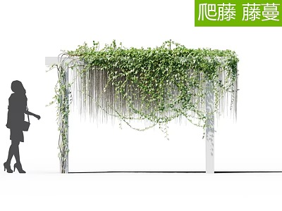Green Climbing Vines Covering White Pergola With Lush Natural Greenery 3d model