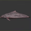 Pink Dolphin Marine Creature 3D Rendering With Spotted Textured Skin 3d model