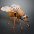 Realistic 3D Fly Model with Orange Body Transparent Wings and Large Eyes