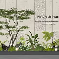 Modern Indoor Landscape With Nature Peace Natural Essence And Lush Greenery