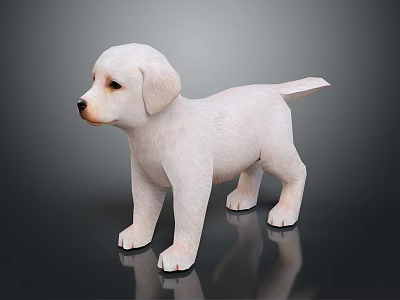 White Puppy Standing On Black Glossy Surface With Grey Background 3d model