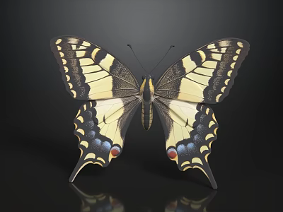 Yellow And Black Butterfly With Blue Red Spots On Black Background Reflection 3d model