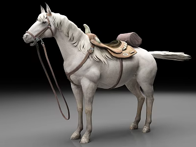 Detailed White Horse With Brown Saddle And Reins Standing In Studio 3d model