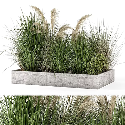 Patio Garden Design With Concrete Planter And Lush Green Grasses 3d model