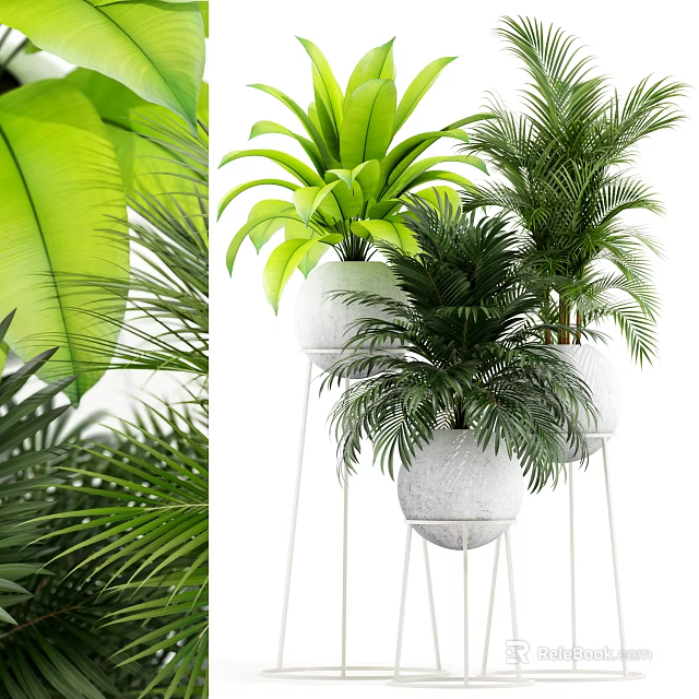 Lush Green Potted Plants With White Pots And Metal Stand For Indoor Decor 3d model 