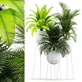 Lush Green Potted Plants With White Pots And Metal Stand For Indoor Decor