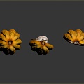 Mango Cocoa Bean Cocoa Fruit 3d model