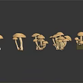 Modern mushroom straw mushroom poisonous mushroom 3d model