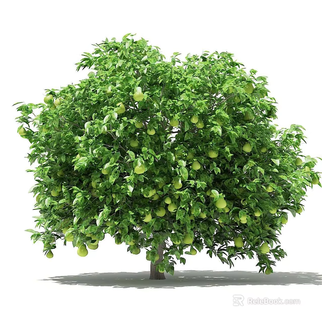 Lush Green Fruit Bearing Tree With Dense Foliage And Ripe Green Fruits 3d model 