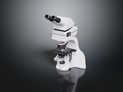 Microscopic Study Of Organ And Hair Samples Using Professional Microscope 3d model