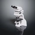 Microscopic Study Of Organ And Hair Samples Using Professional Microscope
