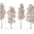 Ginkgo tree landscape tree autumn yellow leaf tree 3d model