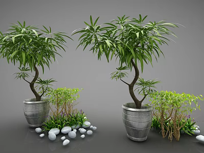 Modern potted plants 3d model Modern potted plants 3d model