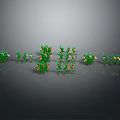 Green Plants With Different Sizes Shapes And Yellow Flowers Arranged On Gray Background With Reflections